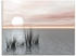 Art-Land Sonnenuntergang mit Schilf 80x60cm (97883057-0)