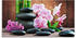 Art-Land Spa Konzept Zen Steinen Orchideen 60x30cm (59226137-0)