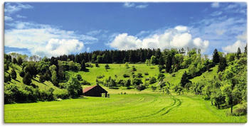 Art-Land Traumhafte Landschaft im Schwarzwald 100x50cm (67202934-0)