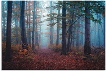 Art-Land Wald im Nebel 120x80cm (75271038-0)