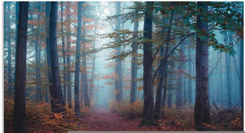 Art-Land Wald im Nebel 30x20cm (94036224-0)