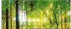 Artland Glasbild »Wald mit Bach«, Wald, (1 St.)