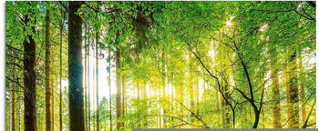 Art-Land Wald mit Bach 40x40cm (53132115-0)