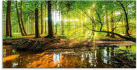 Artland Glasbild "Wald mit Bach" Wald 1 Stk. tlg. in verschiedenen Gr&ouml;&szlig;en