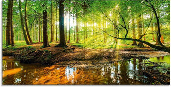 Art-Land Wald mit Bach 60x30cm (78576435-0)