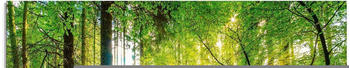 Art-Land Wald mit Bach 80x60cm (22603323-0)