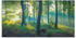 Art-Land Wald Panorama 150x75cm (76628223-0)