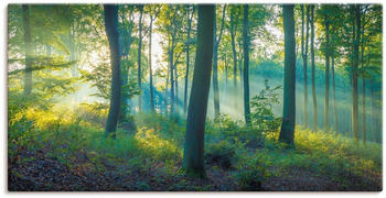 Art-Land Wald Panorama 60x30cm (49549347-0)
