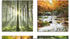 Art-Land Wald Wasserfall Herbsttag 30x30cm (26863502-0)