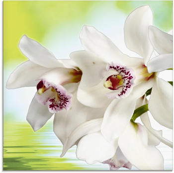 Art-Land Weiße Orchidee 20x20cm (18279521-0)