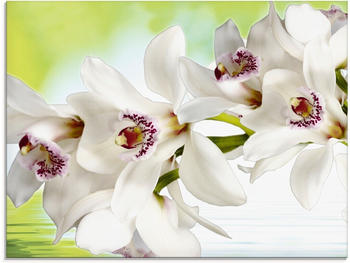 Art-Land Weiße Orchidee 60x45cm (26721921-0)