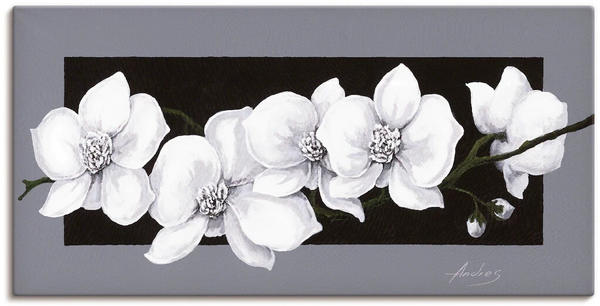 Art-Land Weiße Orchideen auf grau 150x75cm (33013217-0)