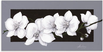 Art-Land Weiße Orchideen auf grau 40x20cm (52162215-0)