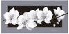 Art-Land Weiße Orchideen auf grau 60x30cm (49464917-0)