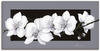 Artland Wandbild »Weiße Orchideen auf grau«, Blumen, (1 St.), als Alubild,