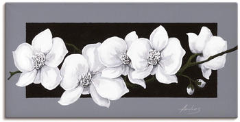 Art-Land Weiße Orchideen auf grau 60x30cm (55481530-0)