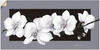 Art-Land Weiße Orchideen auf grau 60x30cm (86862553-0)