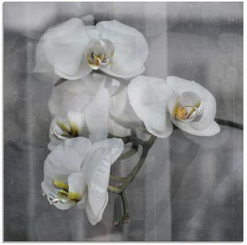 Art-Land Weisse Orchideenwhite Orchid 50x50cm (12816361-0)