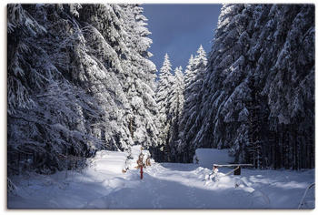 Art-Land Winter im Thüringer Wald in Schmiedefeld 60x40cm (17265642-0)