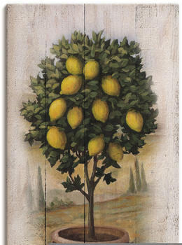 Art-Land Zitronenbaum mit Holzoptik 30x60cm (10068433-0)