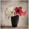 Artland Glasbild »Amaryllis Vintage I«, Blumen, (1 St.), in verschiedenen...