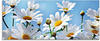 Artland Glasbild »Blumen - Margeriten«, Blumen, (1 St.), in verschiedenen Größen