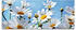 Art-Land Blumen Margeriten 125x50cm (39297559-0)