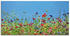 Art-Land Blumenwiese II 100x50cm (28916640-0)