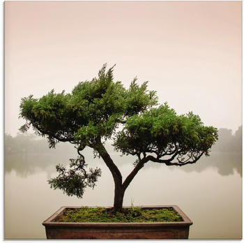 Art-Land Chinesischer Bonsaibaum 30x30cm (74152227-0)