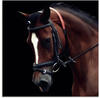 Artland Glasbild »Dressur Pferd«, Haustiere, (1 St.), in verschiedenen...