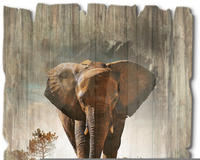 Artland Holzbild "Ein Elefant l&auml;uft auf der Stra&szlig;e" Wildtiere 1 Stk. tlg.