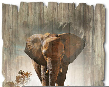 Art-Land Ein Elefant läuft auf der Straße 30x40cm (24372567-0)