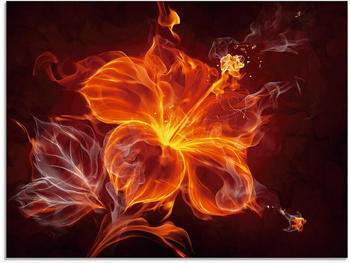 Art-Land Feuerblume 80x60cm (69770231-0)
