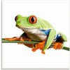 Artland Glasbild »Frosch auf einem Blatt«, Wassertiere, (1 St.)