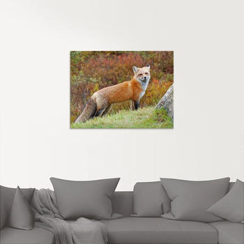 Art-Land Fuchs I 60x45cm (67868129-0)