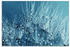 Art-Land Blaue glitzernde Pusteblume 80x60cm (70225352-0)