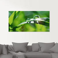 Artland Glasbild "Gr&uuml;ner Hintergrund mit Gras" Gr&auml;ser 1 Stk. tlg. in...