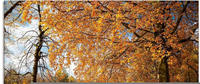 Art-Land Herbst bei Schlosses Nymphenburg 80x60cm (97748369-0)