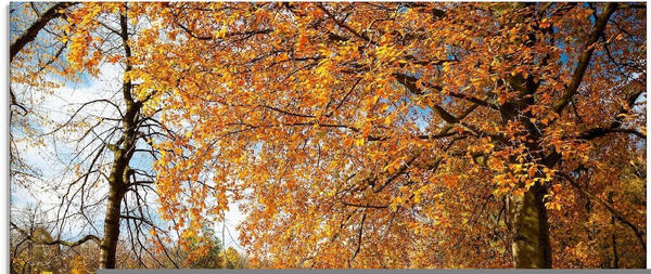 Art-Land Herbst bei Schlosses Nymphenburg 80x60cm (97748369-0)