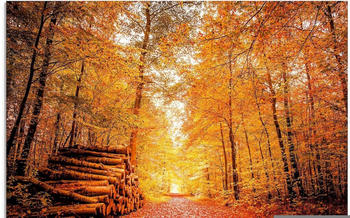 Art-Land Herbstlandschaft 80x60cm (88191865-0)