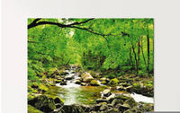 Artland Glasbild "Herbstwald Fluss Smolny" Wald 1 Stk. tlg. in verschiedenen...