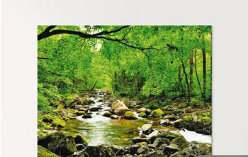 Art-Land Herbstwald Fluss Smolny 125x50cm (55840637-0)