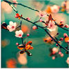 Artland Glasbild »Japanische Kirsch Sakura Blumen«, Blumen, (1 St.), in
