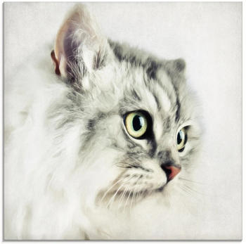 Art-Land Katzenporträt weiß 30x30cm (75890056-0)