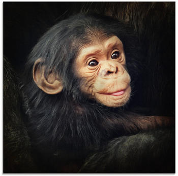 Art-Land Kleiner Schimpanse 50x50cm (29401956-0)