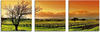 Artland Glasbild »Landschaft mit Weinbergen«, Felder, (3 St.), in...