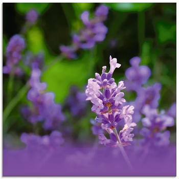 Art-Land Lavendel 30x30cm (34388157-0)