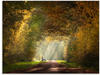 Artland Glasbild »Licht am Ende des Tunnels...«, Wald, (1 St.), in...
