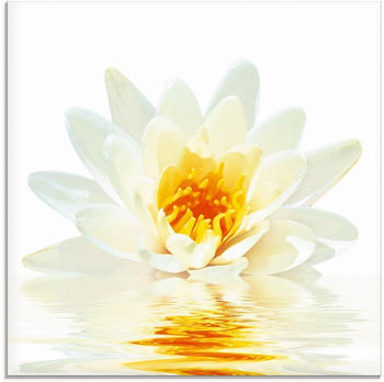 Art-Land Lotusblume schwimmt im Wasser 30x30cm (18226146-0)