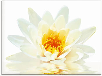 Art-Land Lotusblume schwimmt im Wasser 60x45cm (76229216-0)